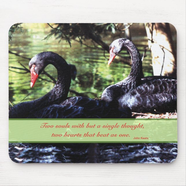 Mousepad Camaradas para a vida Black Swans with Love Cote (Frente)