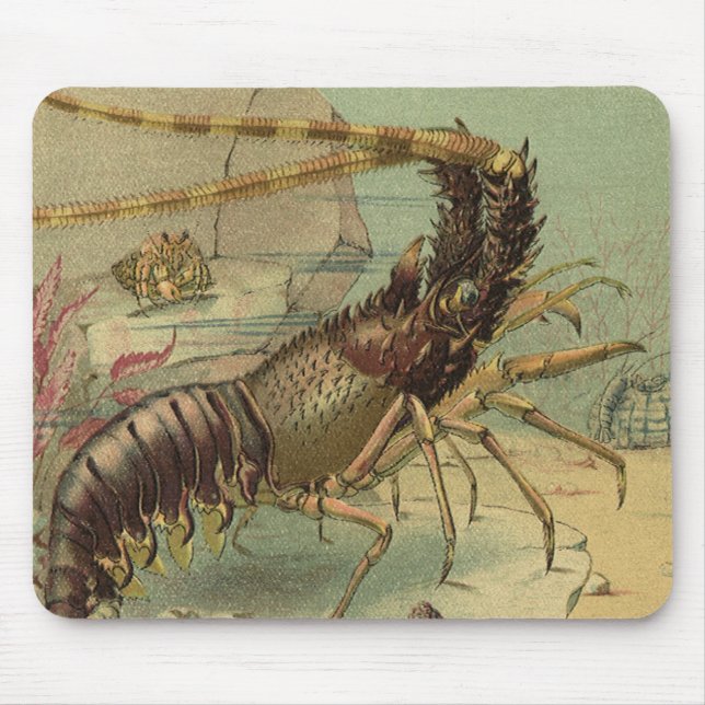 Mousepad Camarão De Vida Submarino, Animais Do Oceano Vinta (Frente)