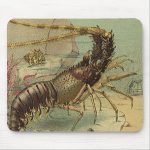 Mousepad Camarão, Vida Marinha Subaquática, Animais Marinho