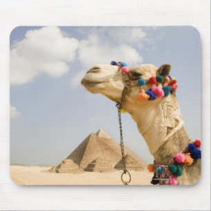 Mousepad Camel com Pirâmides Giza, Egito