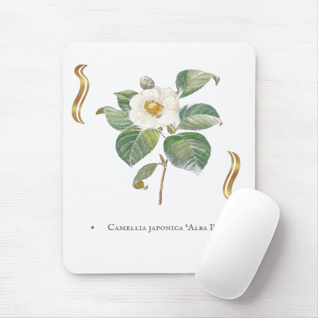 Mousepad Camellia japonica 'Alba Plena'  (Com mouse)