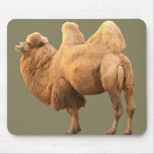 MOUSEPAD CAMELO DE 2 CORCUNDAS