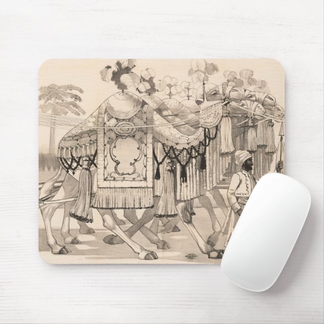 Mousepad Camelos Que Andam Vestidos Em Costume (Com mouse)