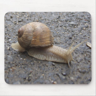 Mousepad caminhada de caracol