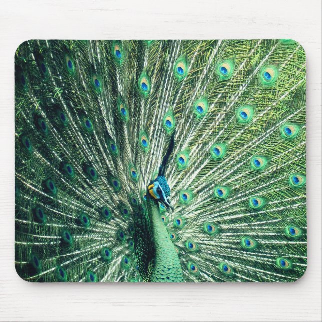 Mousepad Caminhada do pavão  (Frente)