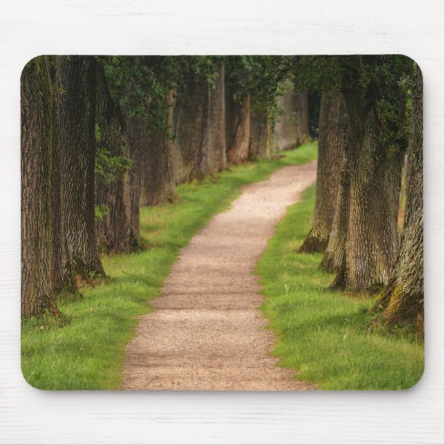 Mousepad Caminho Bonito Através das Árvores (Frente)