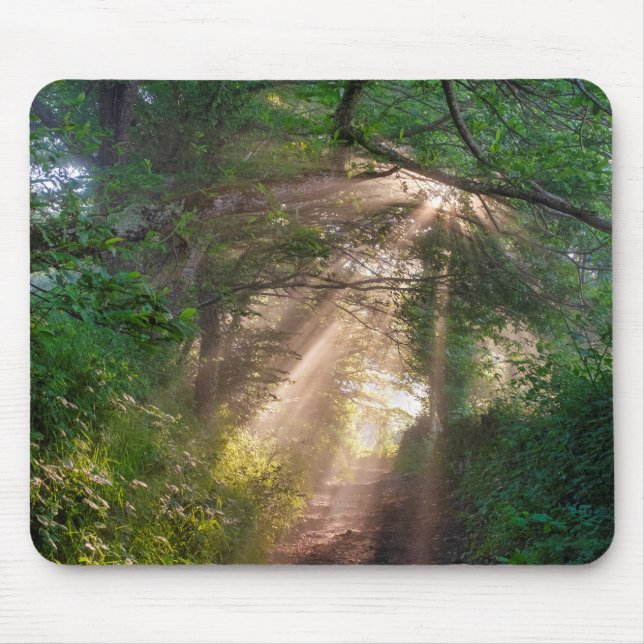 Mousepad Caminho da Floresta (Frente)