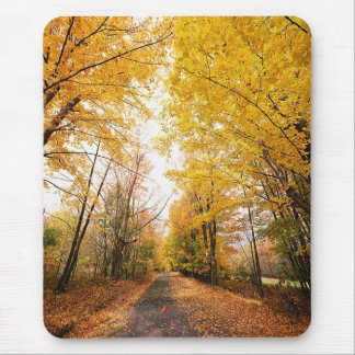Mousepad Caminho de Caminho da Folhagem de outono