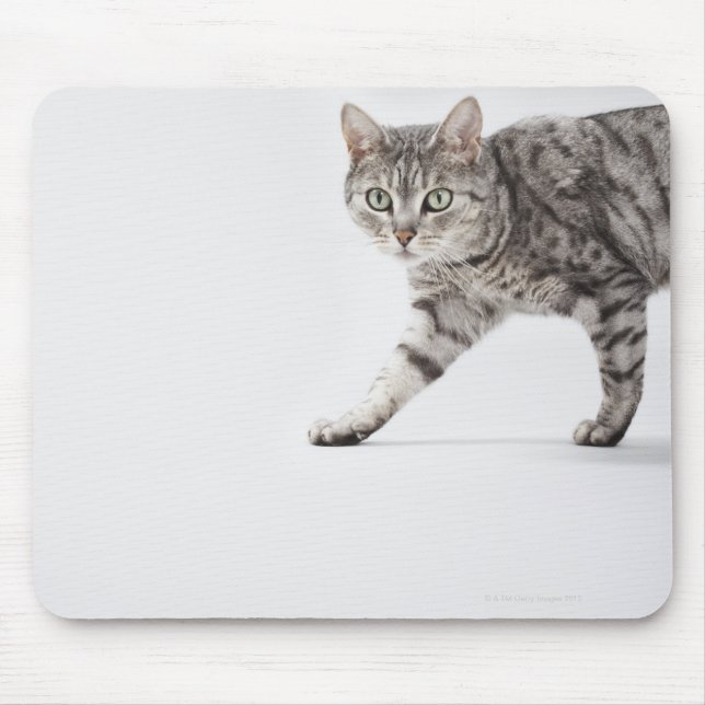Mousepad Caminho de gato (Frente)