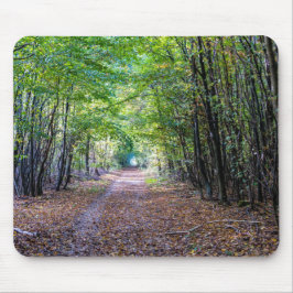 Mousepad Caminho na floresta do outono, Floresta Germain Sa