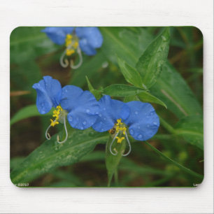 Mousepad Camiseta Flor do Dia Asiática Azul Roupas & Presen