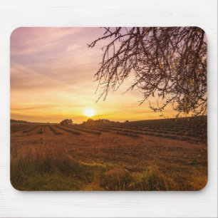 Mousepad Campo da lavanda do outono no por do sol