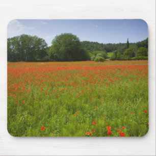 Mousepad Campo da papoila, Chiusi, Italia