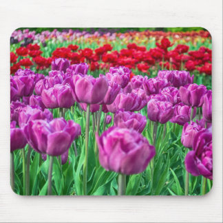 Mousepad Campo da tulipa