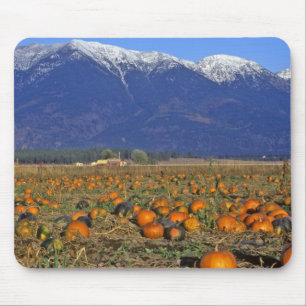 Mousepad Campo de abóbora do Vale Flathead Montana