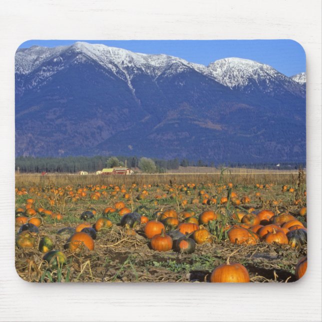 Mousepad Campo de abóbora do Vale Flathead Montana (Frente)