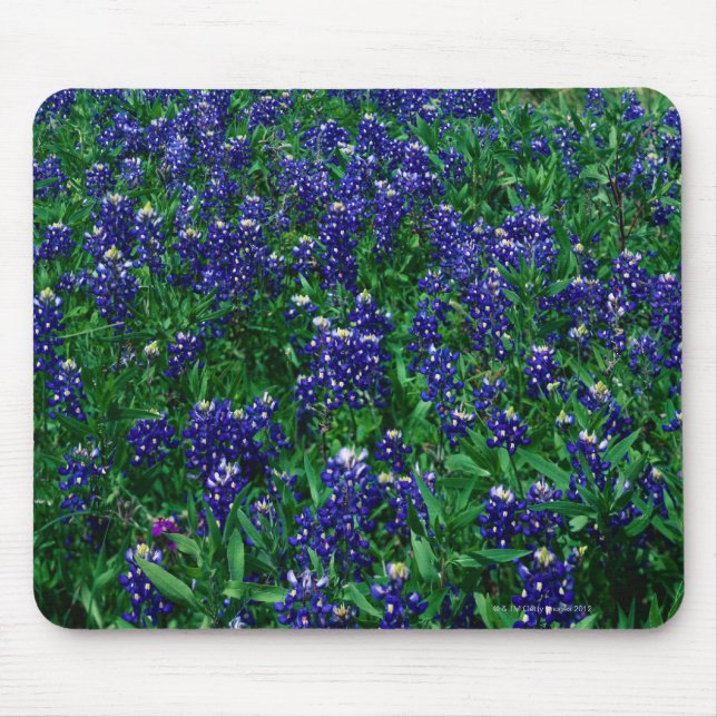 Mousepad Campo de Bluebonnets de Texas (Frente)
