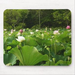 Mousepad Campo de Flores de Lotus no Jardim de Verão