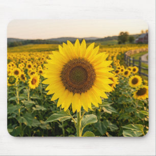 Mousepad Campo de Girassóis
