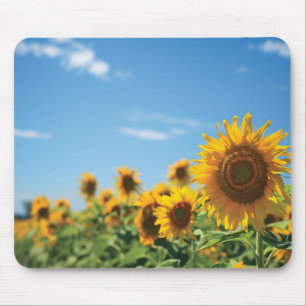 Mousepad Campo de girassol