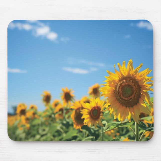 Mousepad Campo de girassol (Frente)