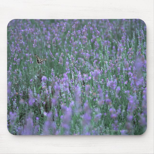 Mousepad Campo de lavanda (Frente)