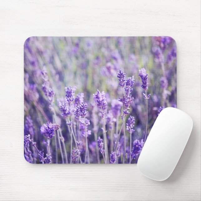Mousepad Campo de lavanda (Com mouse)