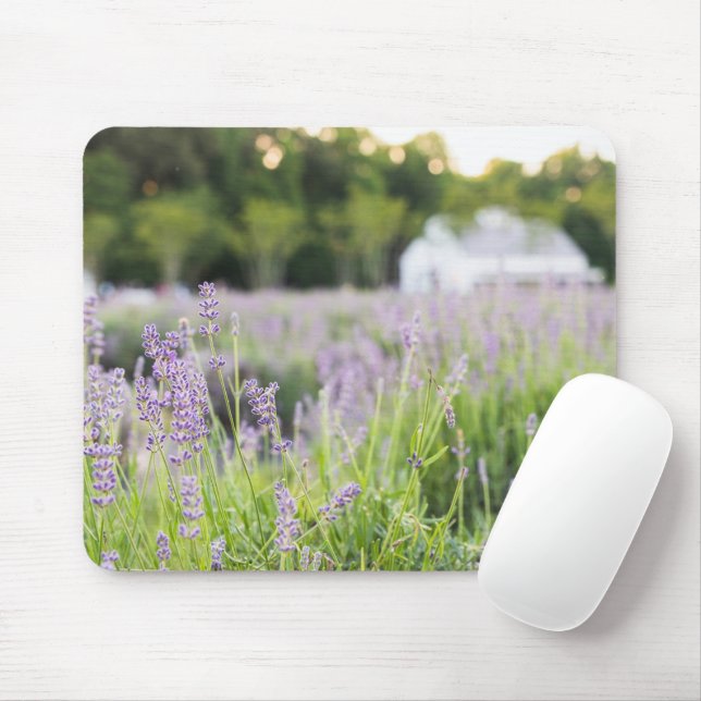 Mousepad Campo de Lavanda do Tranquil (Com mouse)