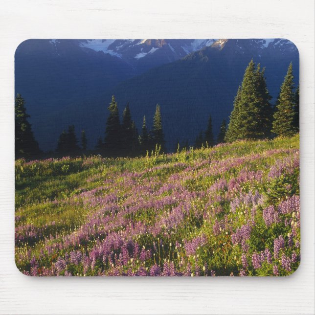 Mousepad Campo de lupino, Mt. Olympus, e nuvens em (Frente)