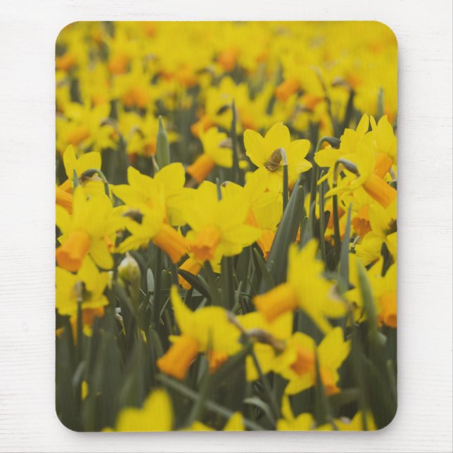 Mousepad Campo de Narcisos (Frente)