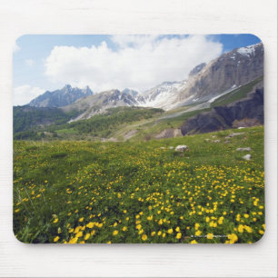 Mousepad Campo de Riviera francês do primavera da passagem