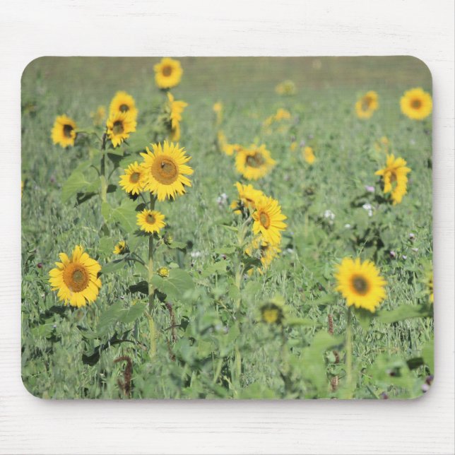 Mousepad Campo de Sunflower (Frente)