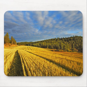 Mousepad Campo de trigo após a colheita