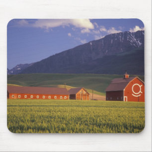 Mousepad Campo de trigo no Vale de Wallowa, logo fora