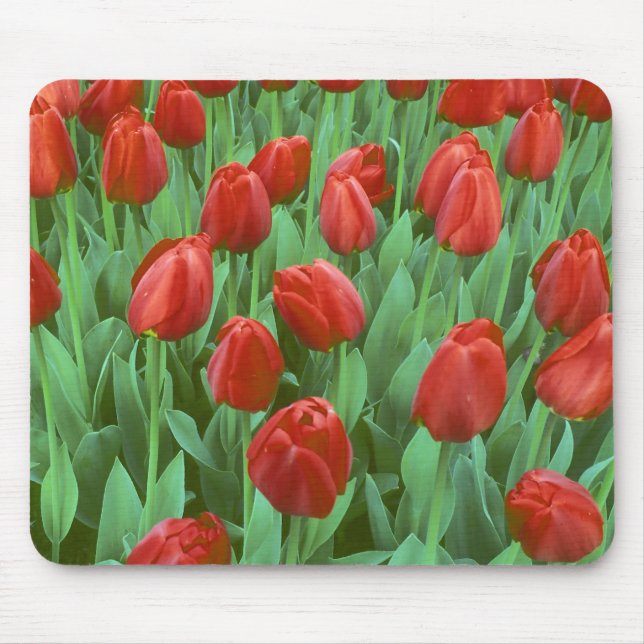 Mousepad Campo de tulipas floresce na primavera. (Frente)