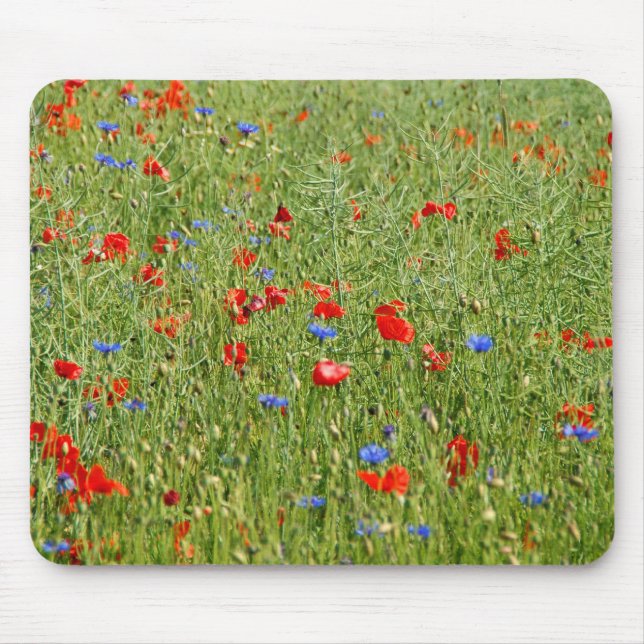 Mousepad Campo de Verão com flores vermelhas e azuis (Frente)