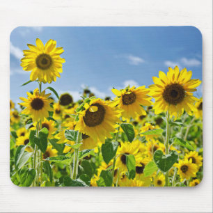 Mousepad Campo do girassol