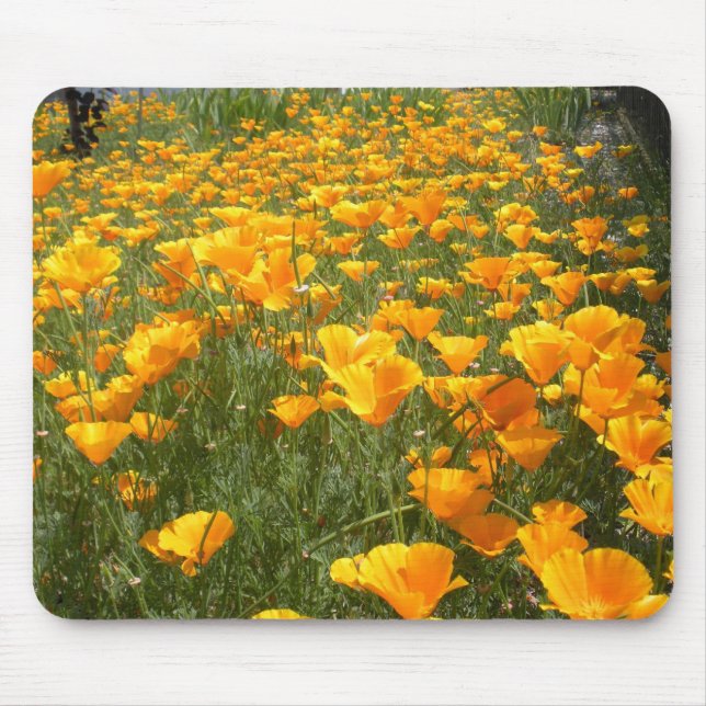Mousepad Campo dos sonhos (Frente)