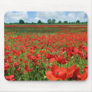 Mousepad Campos da papoila