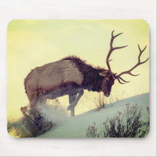 Mousepad camundongo veado extra grande cheio velocidade da 