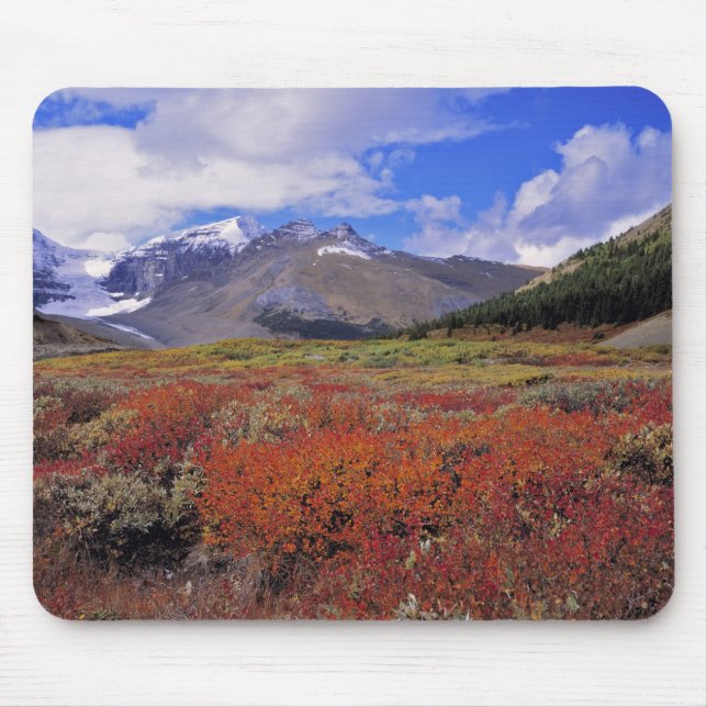 Mousepad Canadá, Alberta, Banff NP. Mirtilos em flor (Frente)