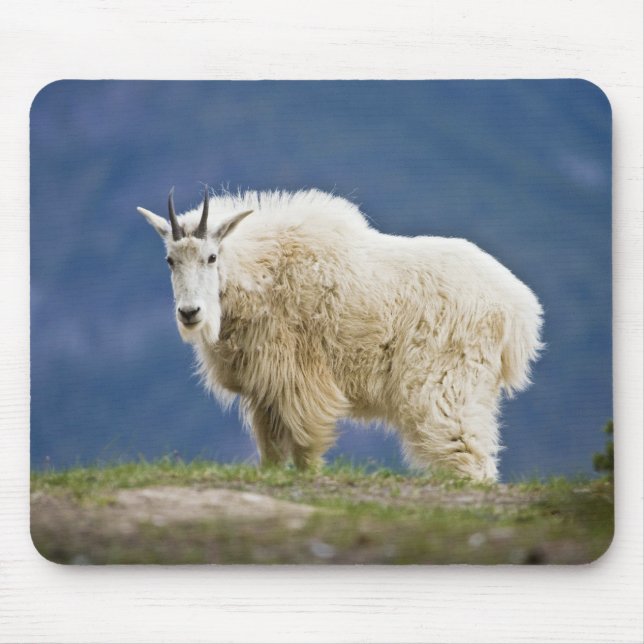 Mousepad Canadá, Alberta, Parque Nacional Jasper, (Frente)