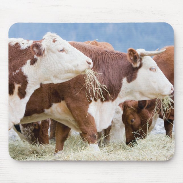 Mousepad Canadá, Colúmbia Britânica, Pemberton (Frente)