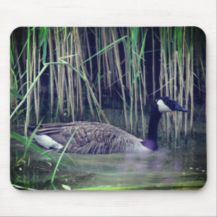 Mousepad Canadá Ganha Natureza Selvagem