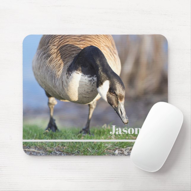 Mousepad Canadá Goos (Com mouse)