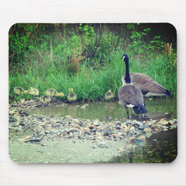 Mousepad Canadá Goose Family Babies Nature (Frente)