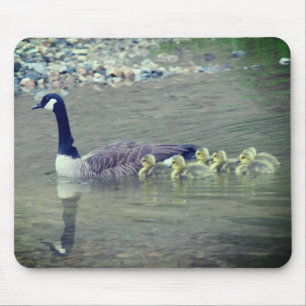 Mousepad Canadá Goose Mãe Natureza