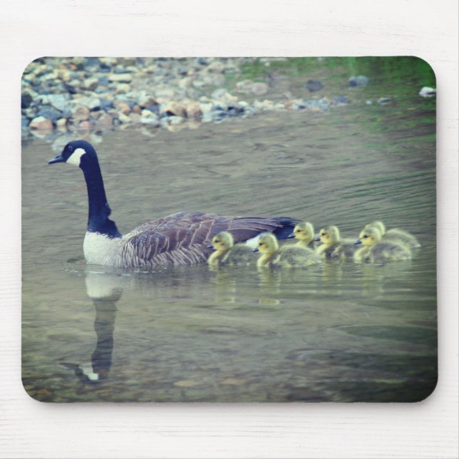 Mousepad Canadá Goose Mãe Natureza (Frente)