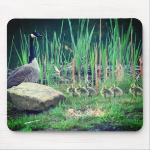 Mousepad Canadá Goose Mãe Natureza