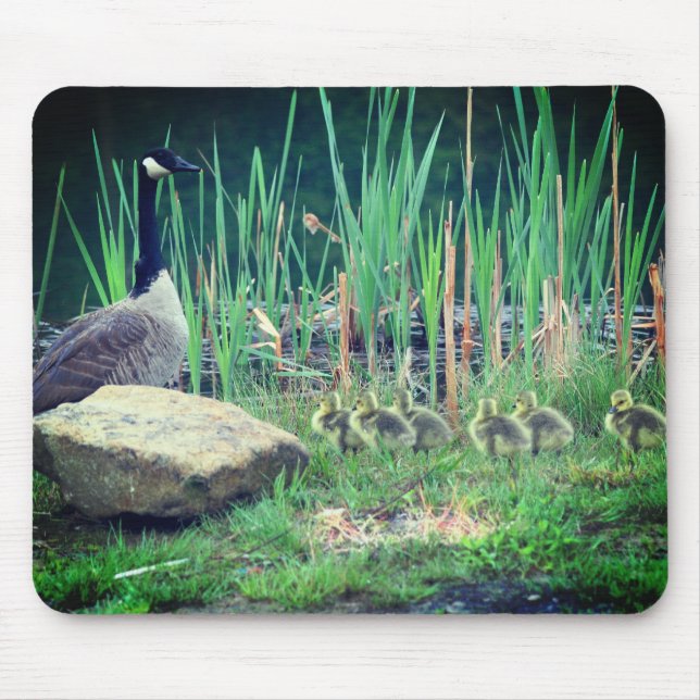 Mousepad Canadá Goose Mãe Natureza (Frente)